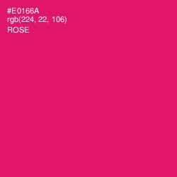 #E0166A - Rose Color Image