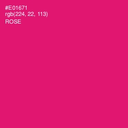 #E01671 - Rose Color Image