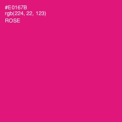 #E0167B - Rose Color Image