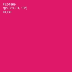 #E01869 - Rose Color Image