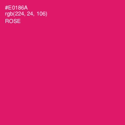 #E0186A - Rose Color Image