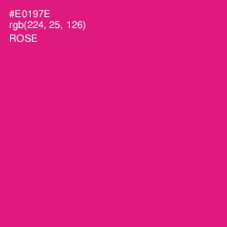 #E0197E - Rose Color Image