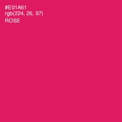 #E01A61 - Rose Color Image