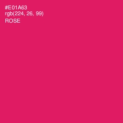 #E01A63 - Rose Color Image