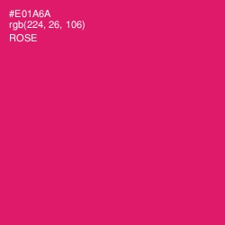 #E01A6A - Rose Color Image