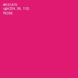 #E01A70 - Rose Color Image