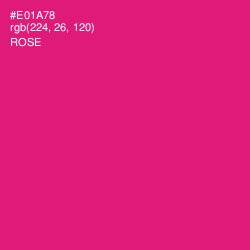 #E01A78 - Rose Color Image