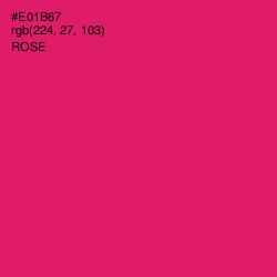 #E01B67 - Rose Color Image