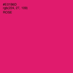 #E01B6D - Rose Color Image