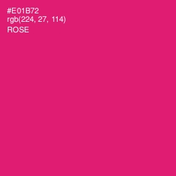 #E01B72 - Rose Color Image