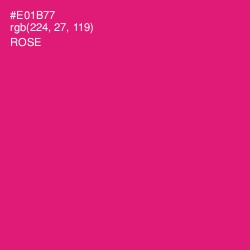 #E01B77 - Rose Color Image