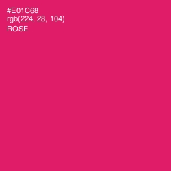 #E01C68 - Rose Color Image