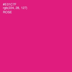 #E01C7F - Rose Color Image