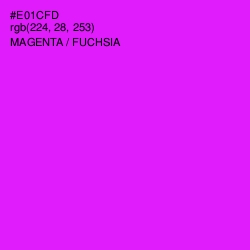 #E01CFD - Magenta / Fuchsia Color Image