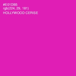 #E01DB5 - Hollywood Cerise Color Image
