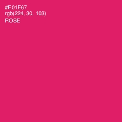 #E01E67 - Rose Color Image