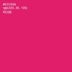 #E01E69 - Rose Color Image