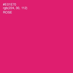 #E01E70 - Rose Color Image