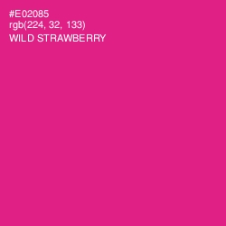 #E02085 - Wild Strawberry Color Image