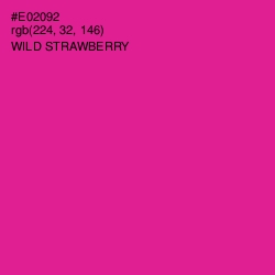 #E02092 - Wild Strawberry Color Image