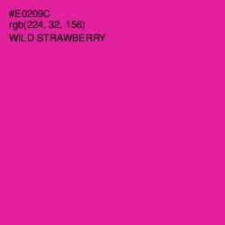 #E0209C - Wild Strawberry Color Image