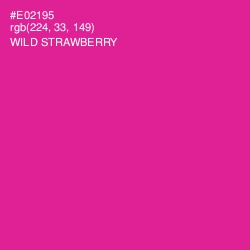 #E02195 - Wild Strawberry Color Image