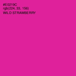 #E0219C - Wild Strawberry Color Image