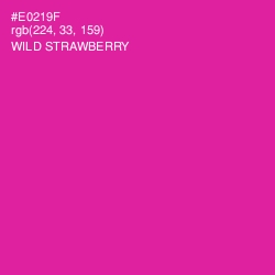 #E0219F - Wild Strawberry Color Image
