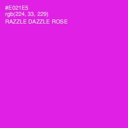 #E021E5 - Razzle Dazzle Rose Color Image