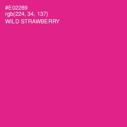 #E02289 - Wild Strawberry Color Image