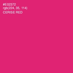 #E02372 - Cerise Red Color Image