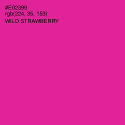 #E02399 - Wild Strawberry Color Image