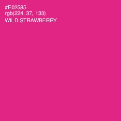 #E02585 - Wild Strawberry Color Image