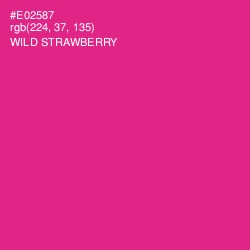 #E02587 - Wild Strawberry Color Image