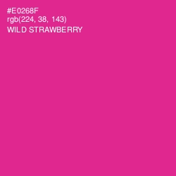 #E0268F - Wild Strawberry Color Image