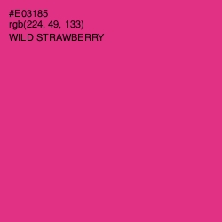 #E03185 - Wild Strawberry Color Image