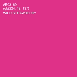 #E03189 - Wild Strawberry Color Image