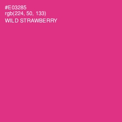 #E03285 - Wild Strawberry Color Image