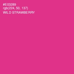 #E03289 - Wild Strawberry Color Image