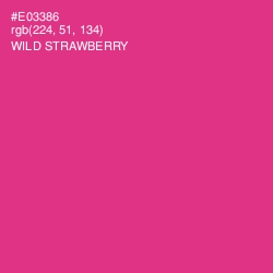 #E03386 - Wild Strawberry Color Image