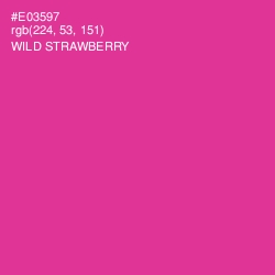 #E03597 - Wild Strawberry Color Image