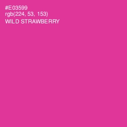 #E03599 - Wild Strawberry Color Image