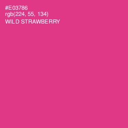 #E03786 - Wild Strawberry Color Image