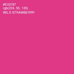 #E03787 - Wild Strawberry Color Image