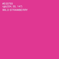 #E03793 - Wild Strawberry Color Image