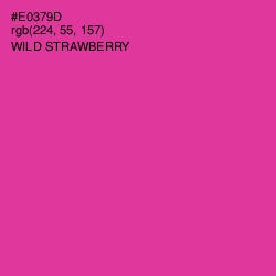 #E0379D - Wild Strawberry Color Image