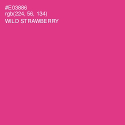 #E03886 - Wild Strawberry Color Image