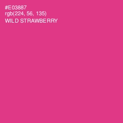 #E03887 - Wild Strawberry Color Image