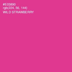 #E03890 - Wild Strawberry Color Image