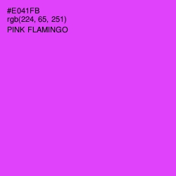#E041FB - Pink Flamingo Color Image